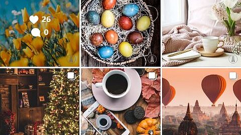 Insta Feed, 6 verschiedene Beiträge