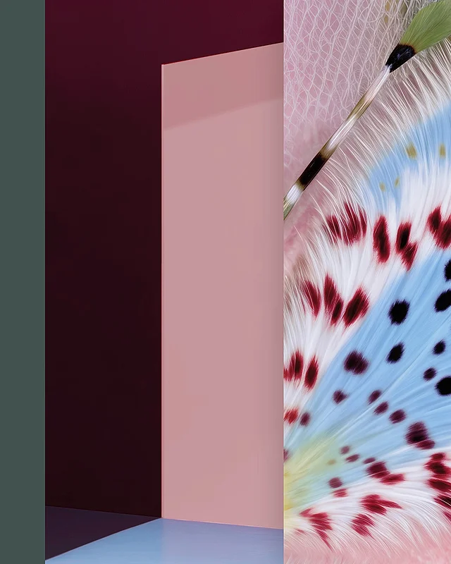 Collage aus Farbflächen in Dunkelgrün, Bordeaux und Rosé neben einer gepunkteten Federstruktur in Hellblau und Rot: Farbwelt des Trend Reports